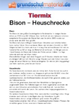 Bison - Heuschrecke.pdf